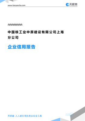 中国核工业中原建设上海分公司(企业信用报告)- 天眼查